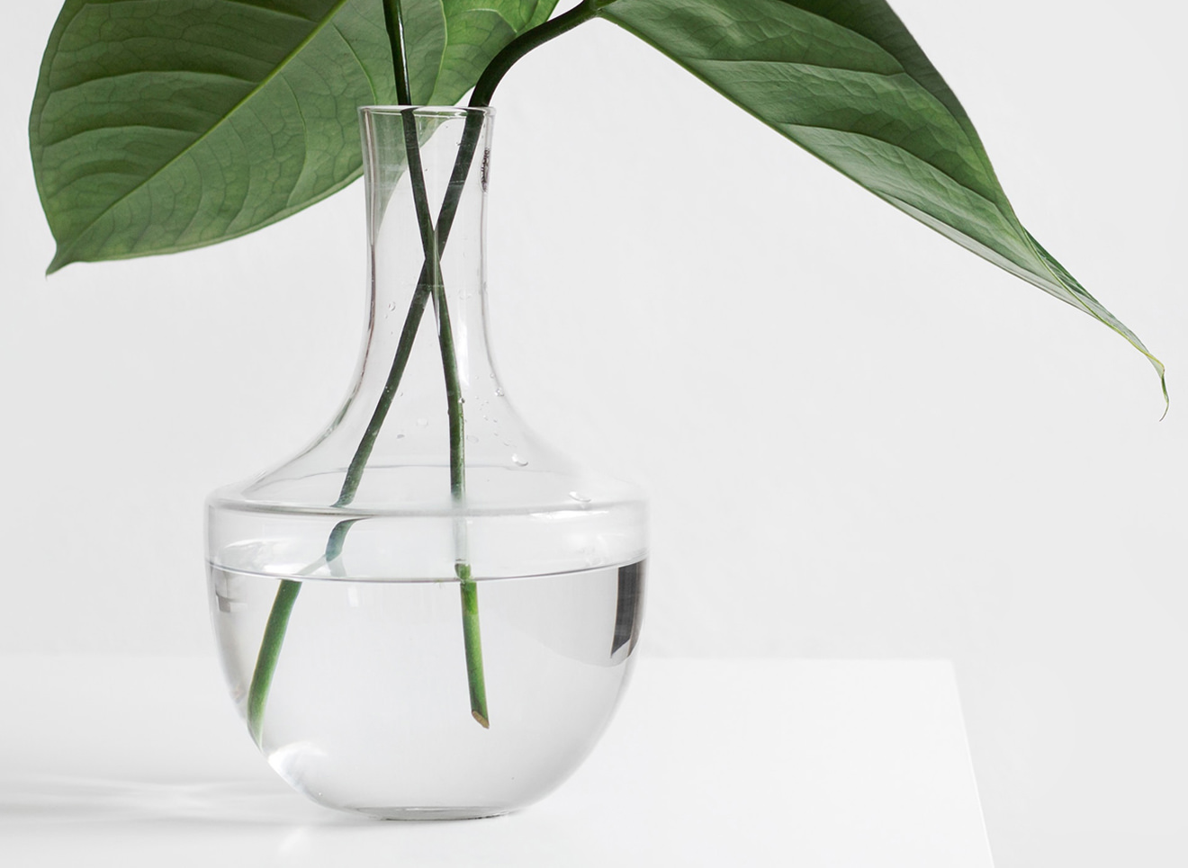 Sustainability at Arya Buana Abadi